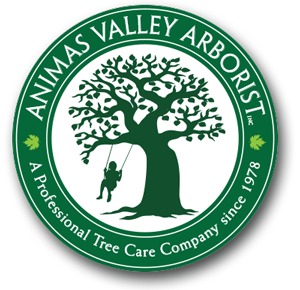 animas valley logo