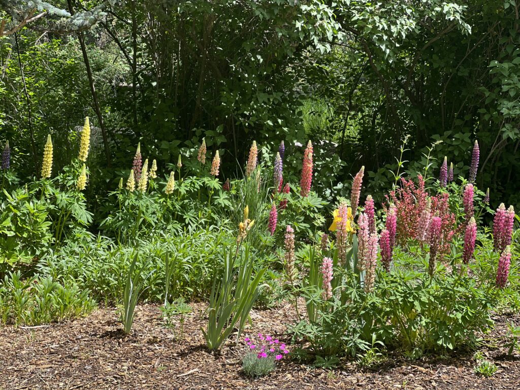 Landscaping services j j landscaping